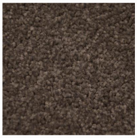 Alaska bruinbeige 0625